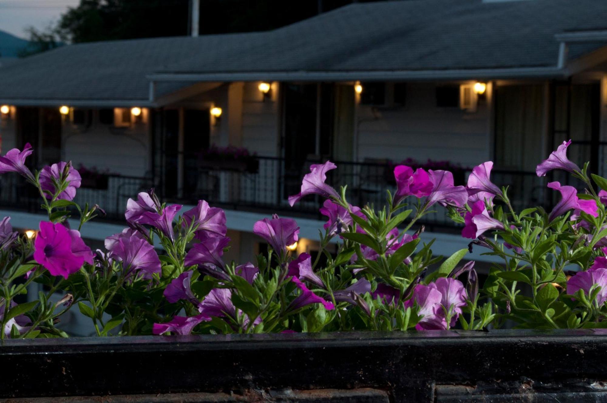 The Lake George Inn Exterior photo
